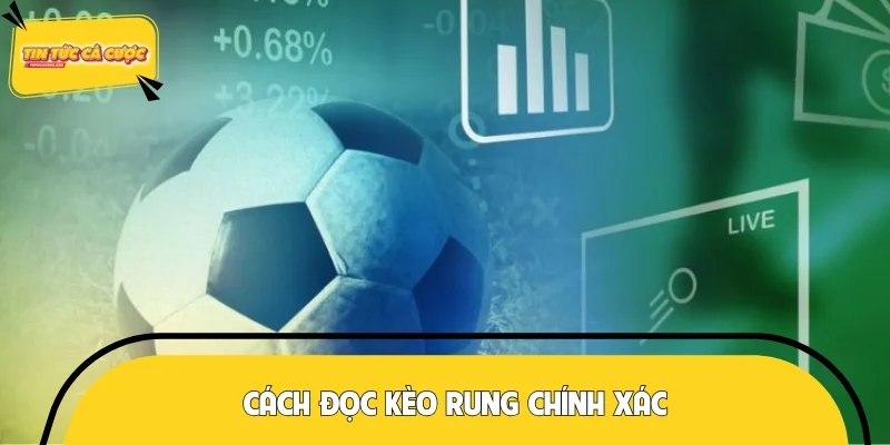 Đọc chính xác để mỗi pha xuống tiền chuẩn hơn